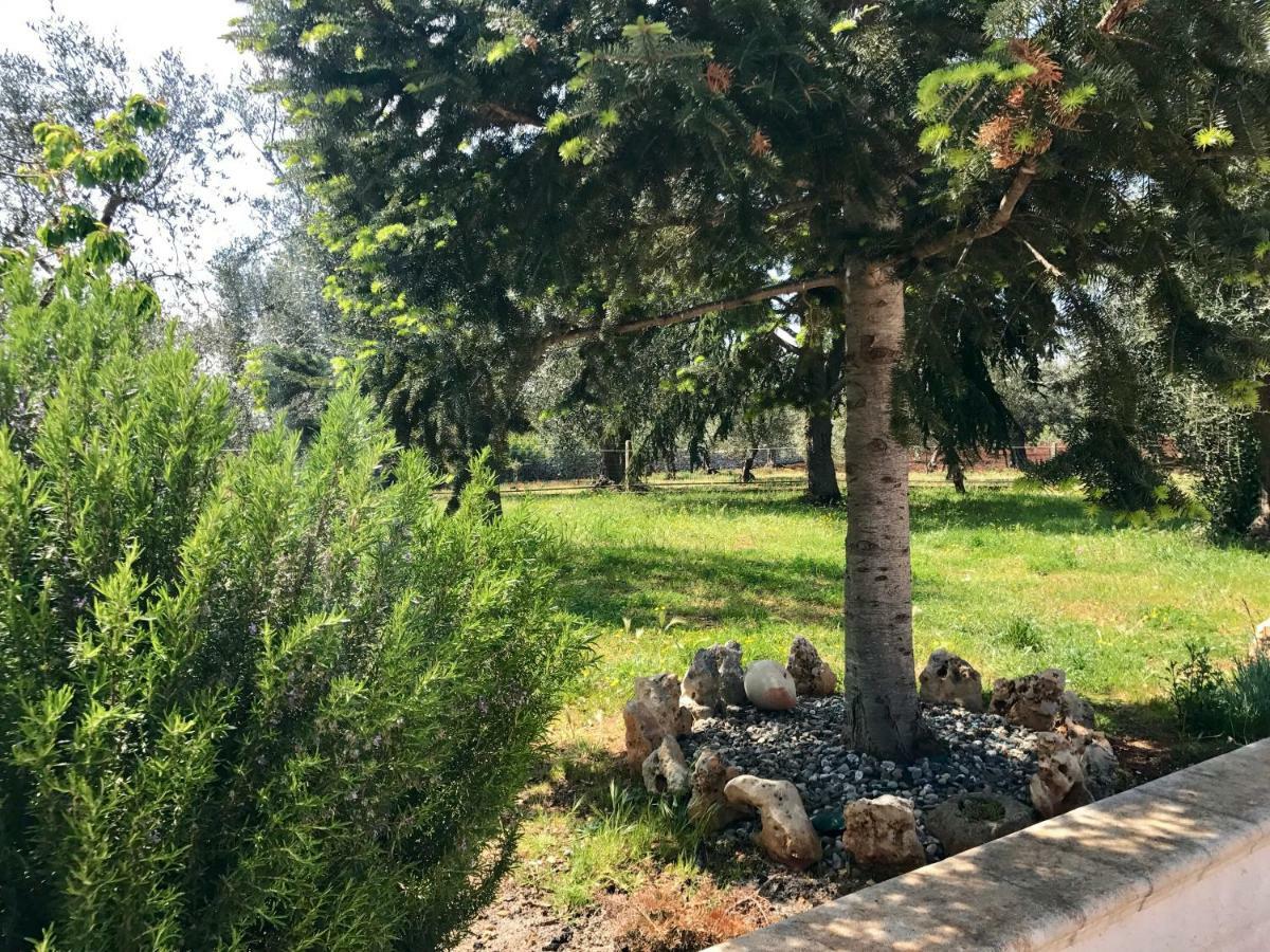 Bed and Breakfast Il Trullo Di Giulietta Impalata Zewnętrze zdjęcie